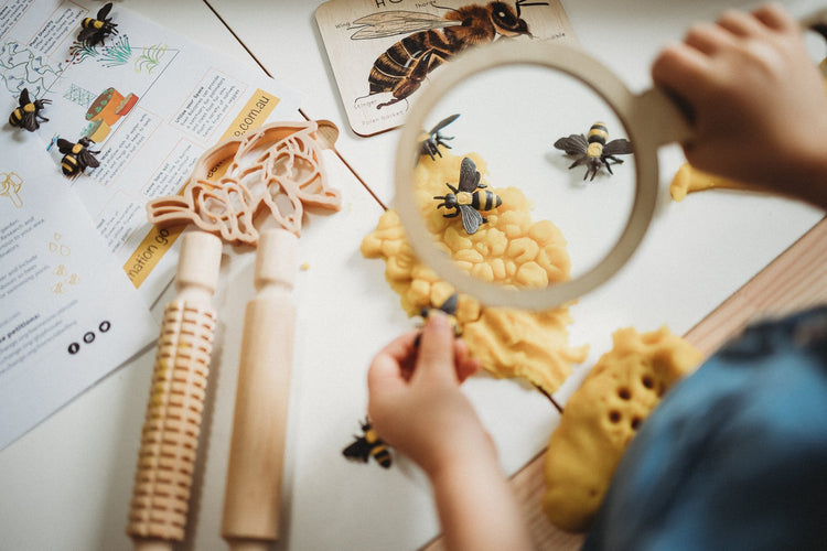 BEE + HONEY COMB ECO CUTTER SET PRE-ORDER by KINFOLK PANTRY - The Playful Collective