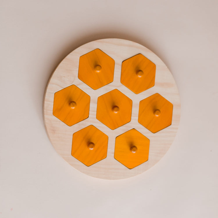 BEE LIFE CYCLE HIVE PUZZLE by QTOYS - The Playful Collective
