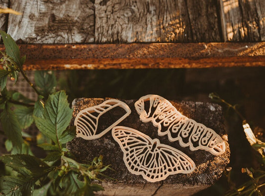 BUTTERFLY LIFE CYCLE ECO CUTTER SET by KINFOLK PANTRY - The Playful Collective