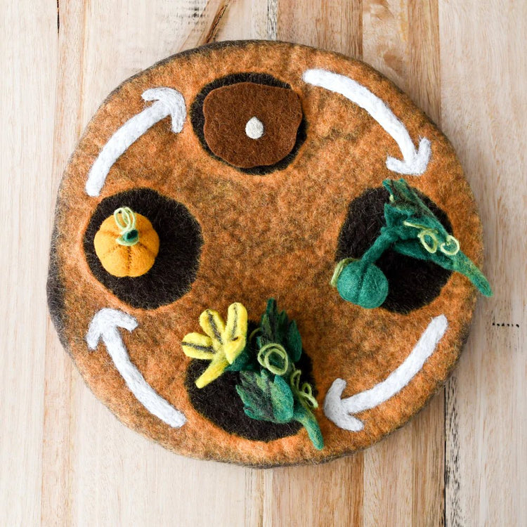 FELT LIFECYCLE TRAY PLAYMAT (EARTH) by TARA TREASURES - The Playful Collective