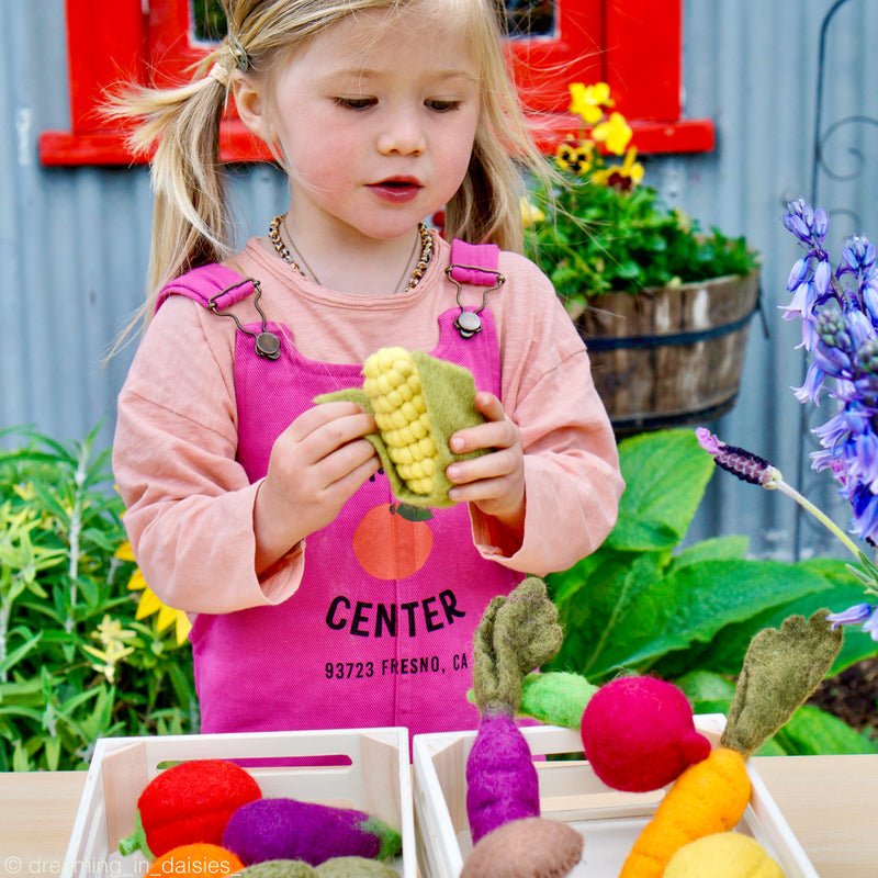 FELT VEGETABLES AND FRUITS - SET A (14 PIECES) by TARA TREASURES - The Playful Collective