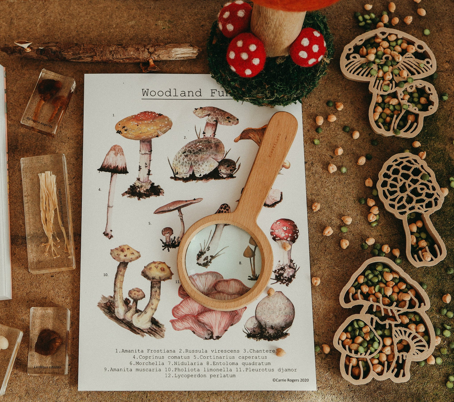 FIELD MUSHROOM ECO CUTTER by KINFOLK PANTRY - The Playful Collective