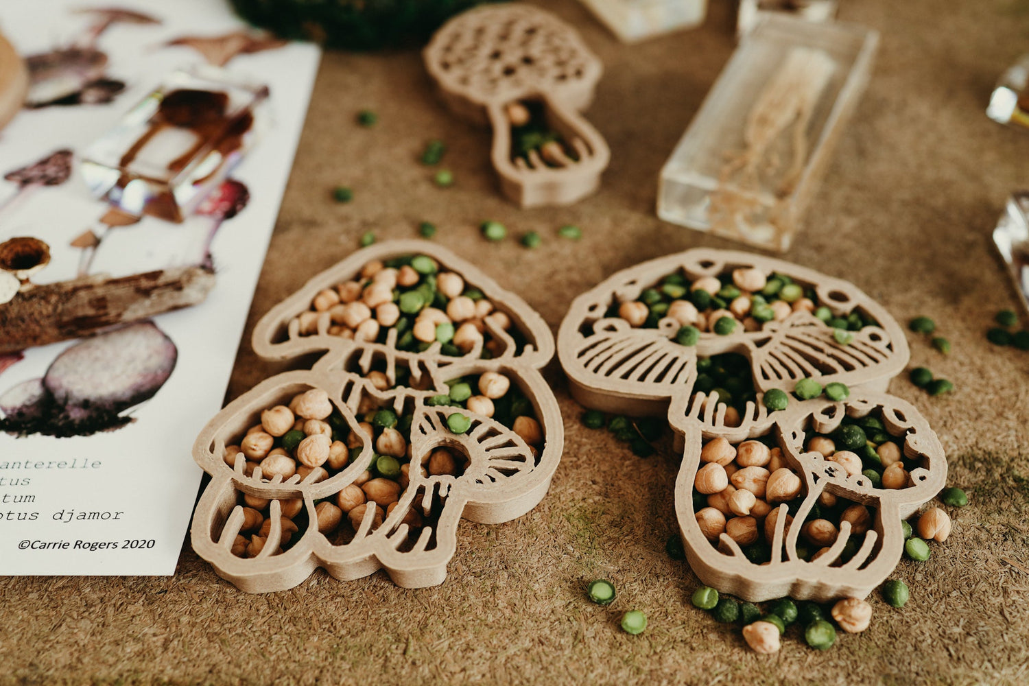 FIELD MUSHROOM ECO CUTTER by KINFOLK PANTRY - The Playful Collective