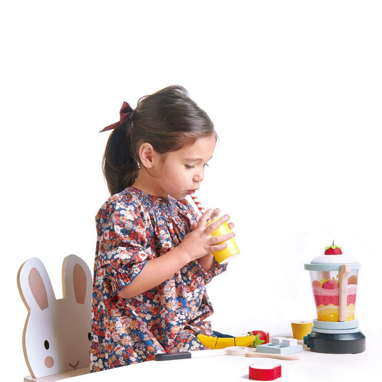 FRUITY BLENDER by TENDER LEAF TOYS - The Playful Collective