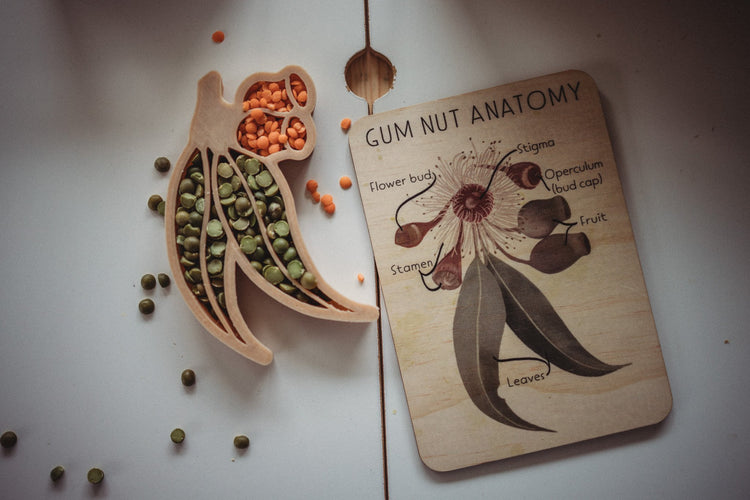 GUMNUT ECO CUTTER - PREORDER by KINFOLK PANTRY - The Playful Collective