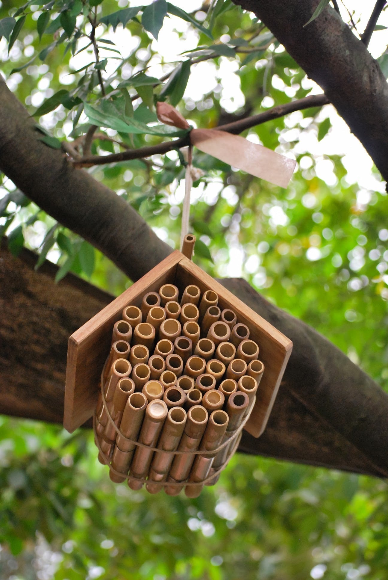 HANGING BEE HOUSE by QTOYS - The Playful Collective