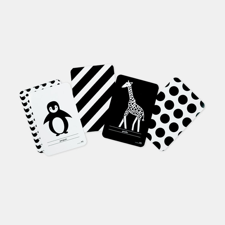 HIGH CONTRAST FLASH CARDS by TWO LITTLE DUCKLINGS - The Playful Collective