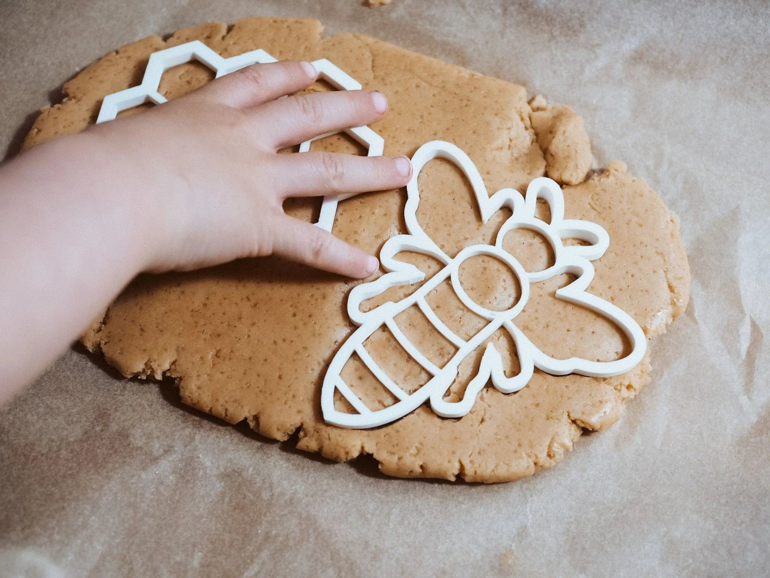 HONEYCOMB BIO CUTTER by BEADIE BUG PLAY - The Playful Collective