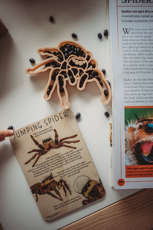 KINFOLK PANTRY | JUMPING SPIDER ECO CUTTER by KINFOLK PANTRY - The Playful Collective