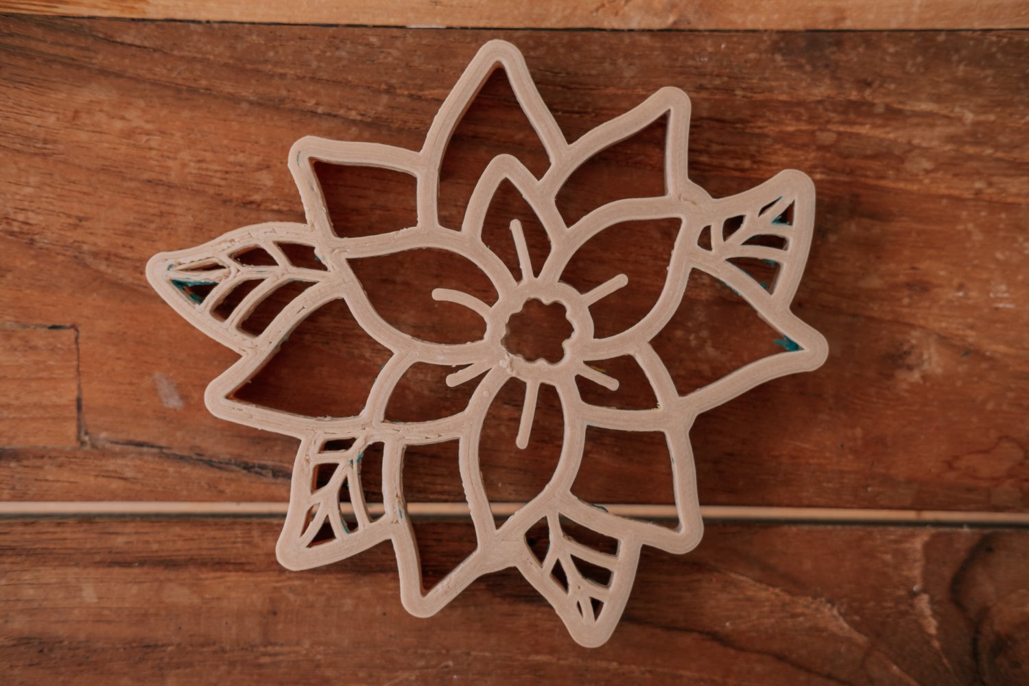 KINFOLK PANTRY | POINSETTA - CHRISTMAS FLOWER ECO CUTTER™ by KINFOLK PANTRY - The Playful Collective