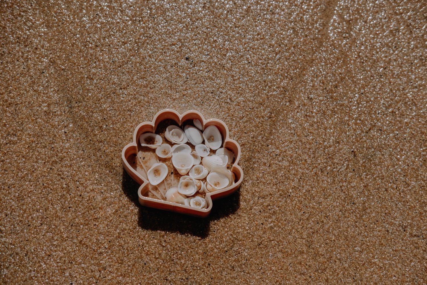 KINFOLK PANTRY | SEA SHELL ECO MOULD by KINFOLK PANTRY - The Playful Collective