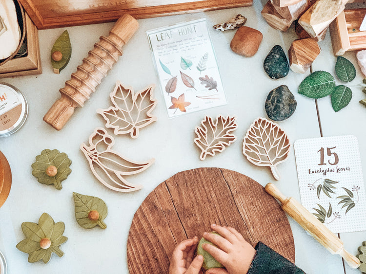 LEAF ECO CUTTER SET PRE-ORDER by KINFOLK PANTRY - The Playful Collective