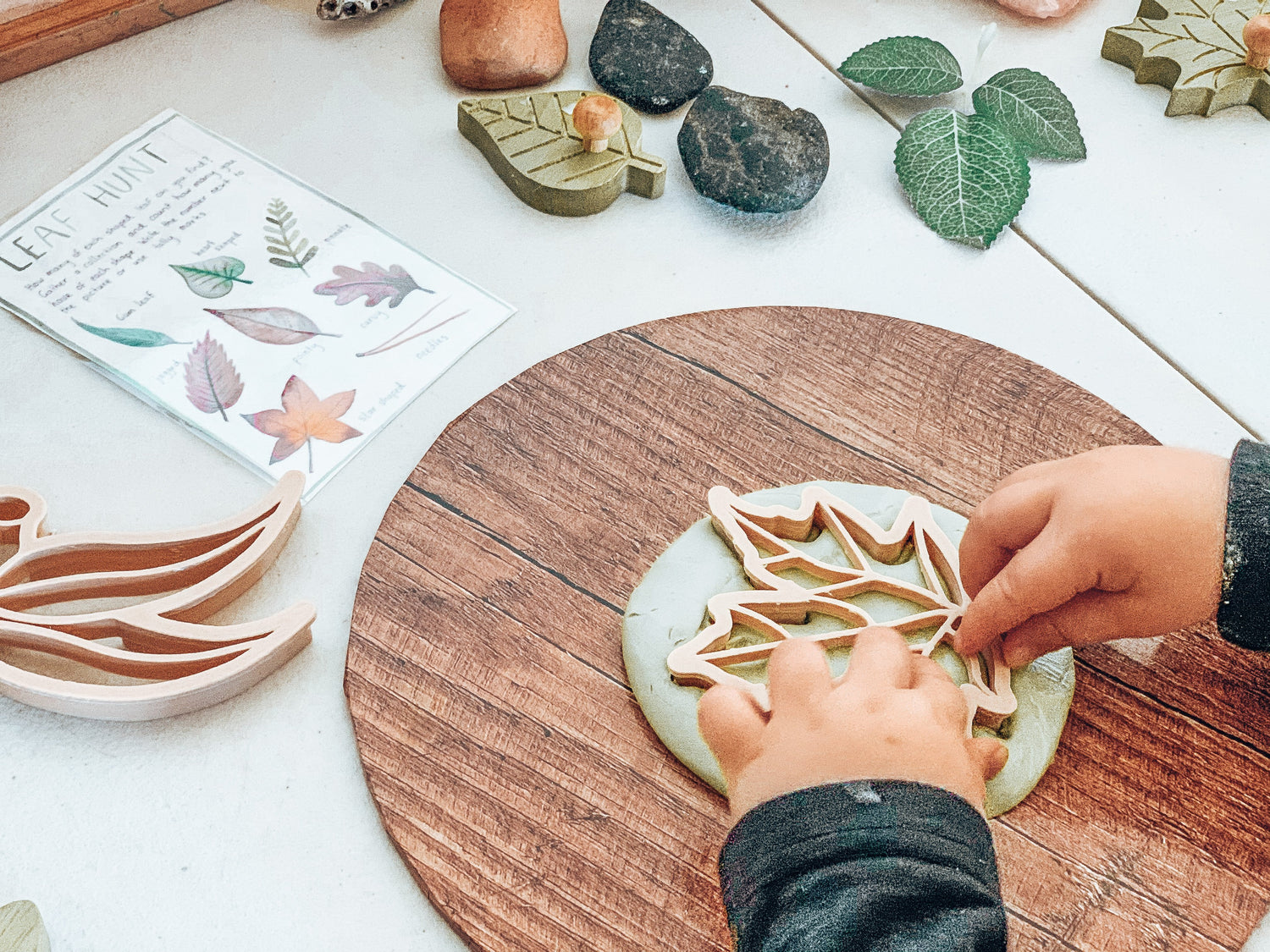 LEAF ECO CUTTER SET PRE-ORDER by KINFOLK PANTRY - The Playful Collective