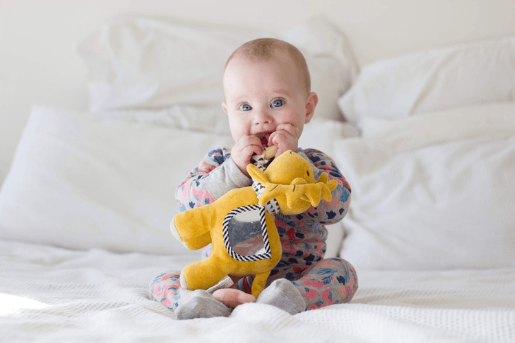 LION ACTIVITY TOY by TIKIRI - The Playful Collective