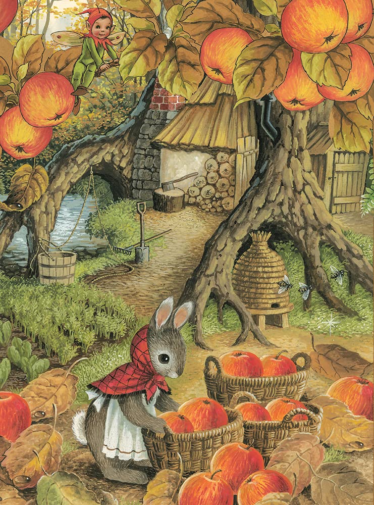 MARTHA B. RABBIT - THE FAIRIES' COOK Hardback by SHIRLEY BARBER - The Playful Collective