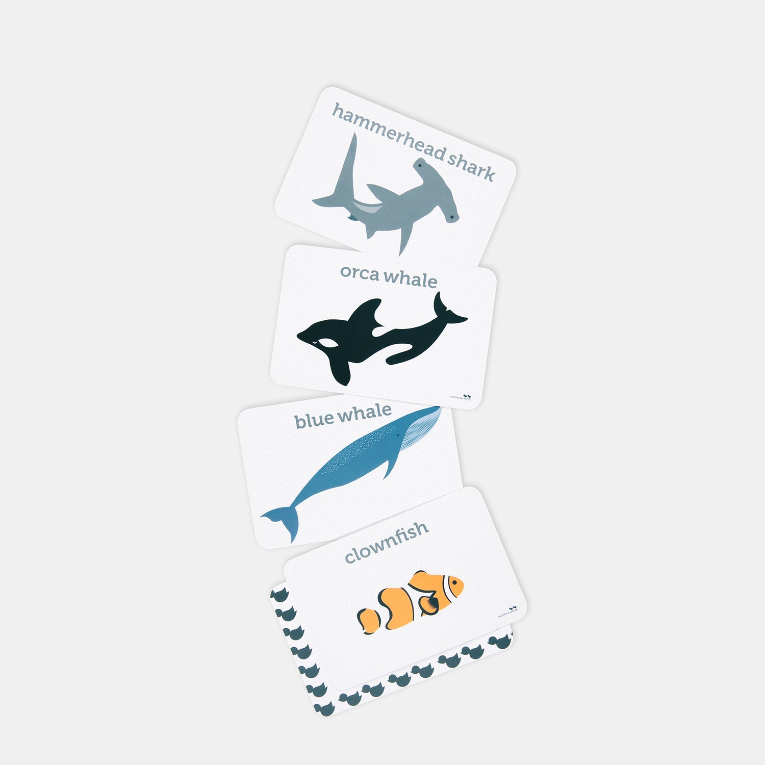 SEA LIFE FLASH CARDS by TWO LITTLE DUCKLINGS - The Playful Collective
