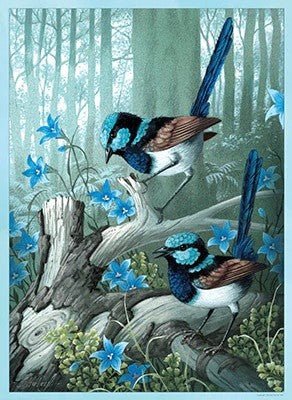 SHIRLEY BARBER | GREETING CARD - FAIRYWREN by SHIRLEY BARBER - The Playful Collective