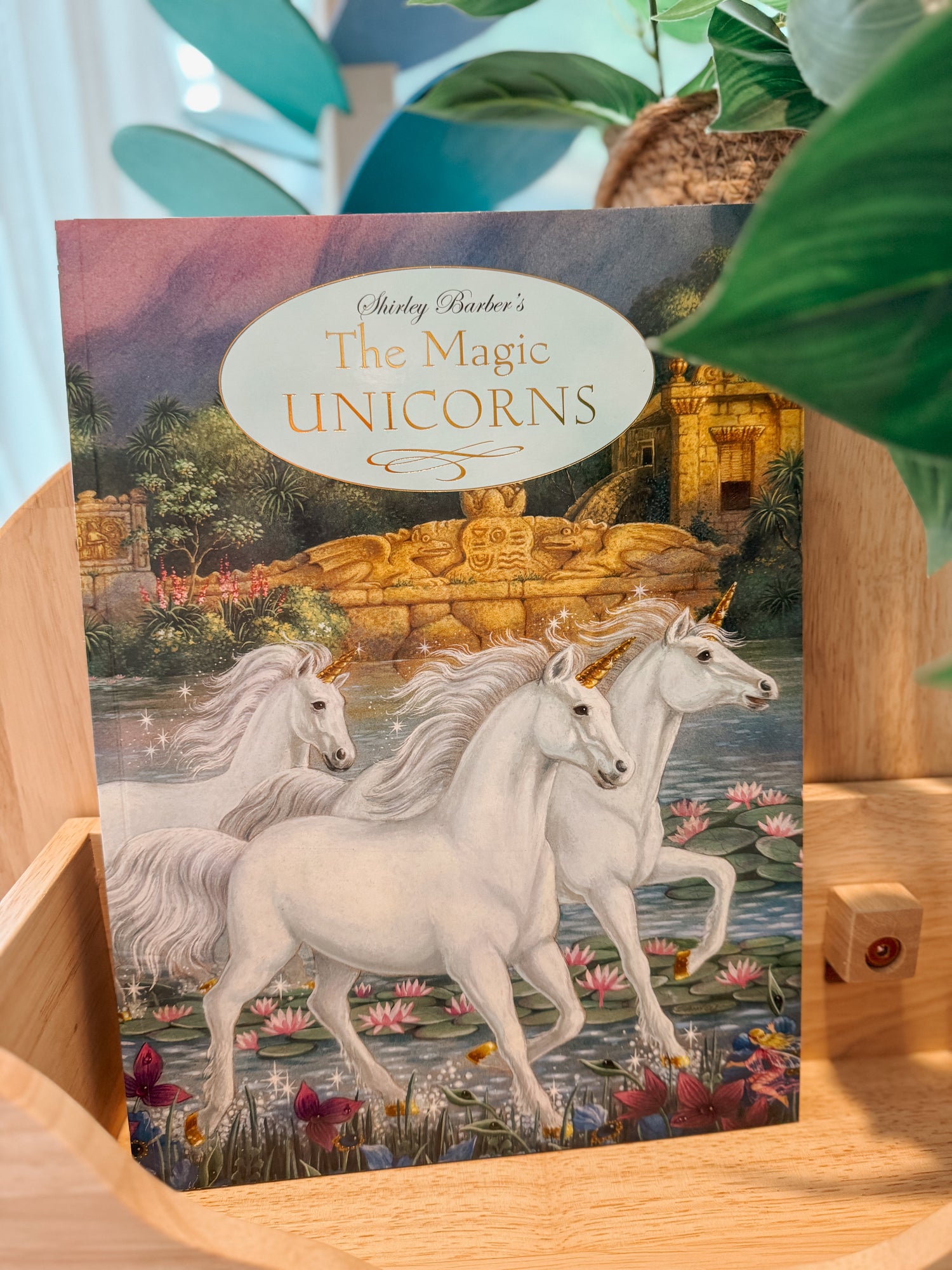 SHIRLEY BARBER | THE MAGIC UNICORNS Hardback by SHIRLEY BARBER - The Playful Collective