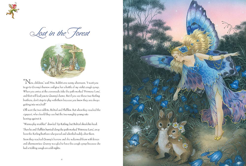 SHIRLEY BARBER'S FAIRY TALES TREASURY (LENTICULAR HARDBACK) by SHIRLEY BARBER - The Playful Collective