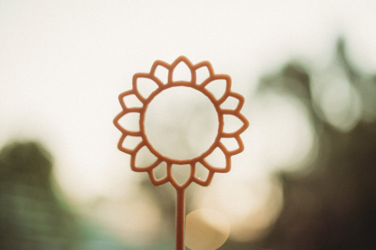 KINFOLK PANTRY | SUNFLOWER ECO BUBBLE WAND