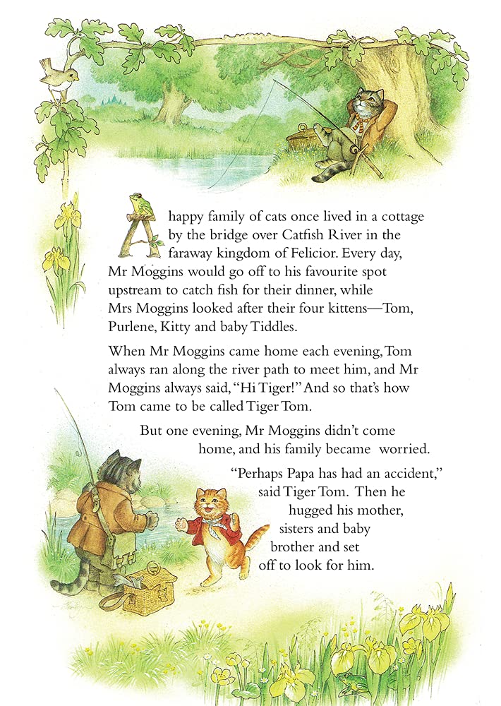 TIGER TOM: A ROYAL ADVENTURE (PAPERBACK) by SHIRLEY BARBER - The Playful Collective