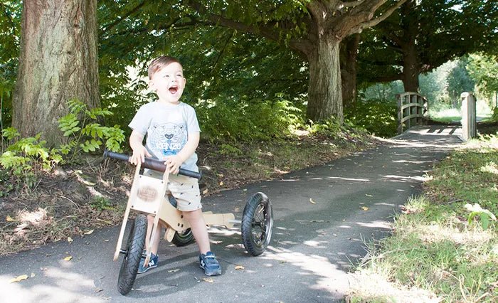 TRYBIKE | WOODEN 4-IN-1 TRICYCLE & BALANCE BIKE - PINK TRIM by TRYBIKE - The Playful Collective