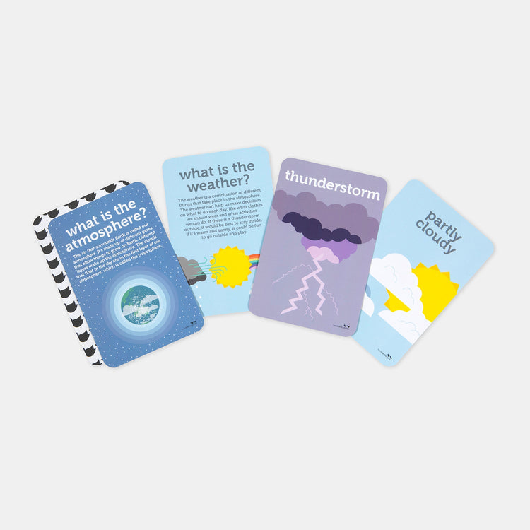 WEATHER FLASH CARDS by TWO LITTLE DUCKLINGS - The Playful Collective