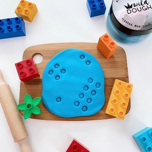 WILD DOUGH CO | PACIFIC BLUE PLAYDOUGH by WILD DOUGH CO - The Playful Collective