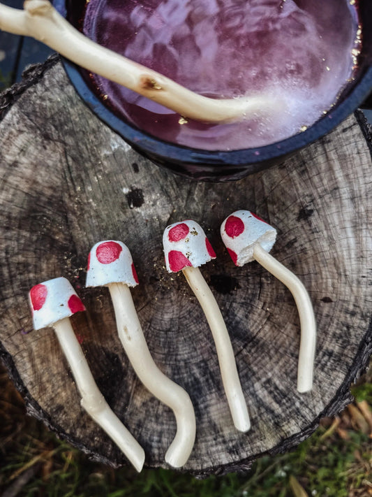 WILD MOUNTAIN CHILD | FIZZY MUSHROOM WANDS - SET OF 4 by WILD MOUNTAIN CHILD - The Playful Collective