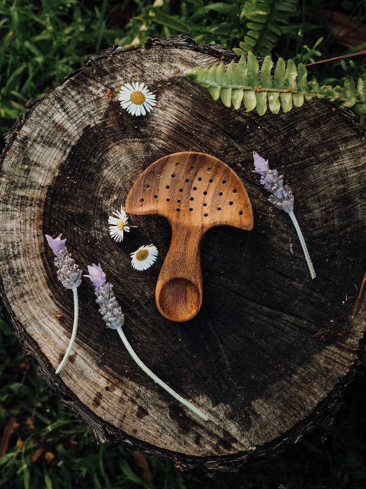 WILD MOUNTAIN CHILD | HANDCRAFTED MUSHROOM MULTI TOOL by WILD MOUNTAIN CHILD - The Playful Collective